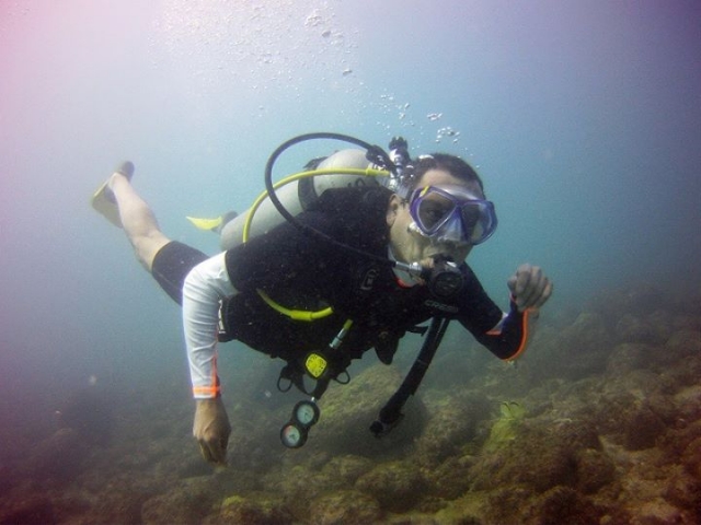  immersioni a Vallarta 